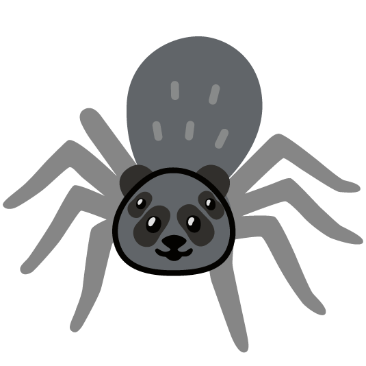panda face spider