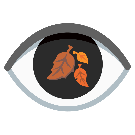 eye fallen leaf