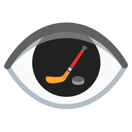 eye ice hockey stick and puck