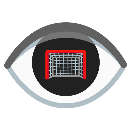 eye goal net
