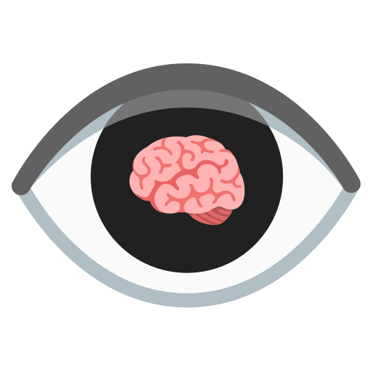 eye-brain
