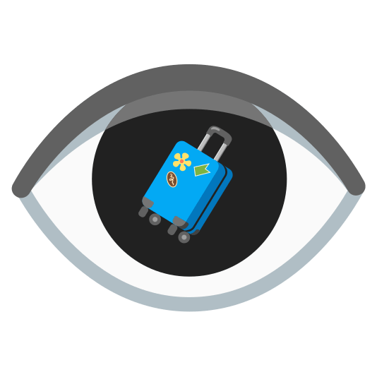 eye luggage