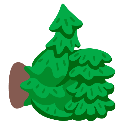 +1 evergreen tree