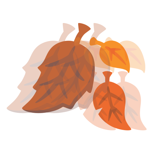 heartbeat fallen leaf