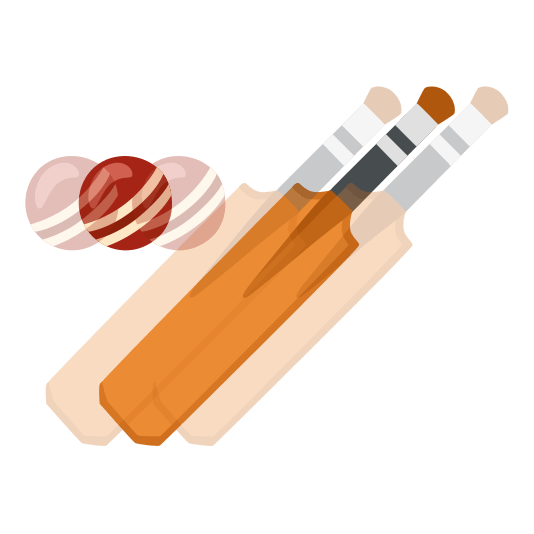 heartbeat cricket bat and ball