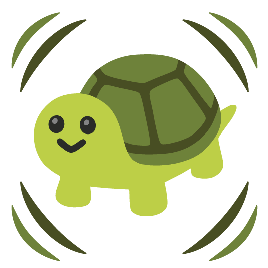 heartbeat turtle