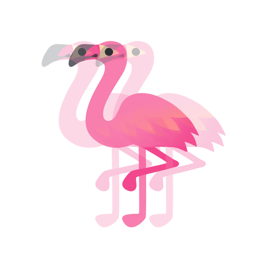heartbeat flamingo