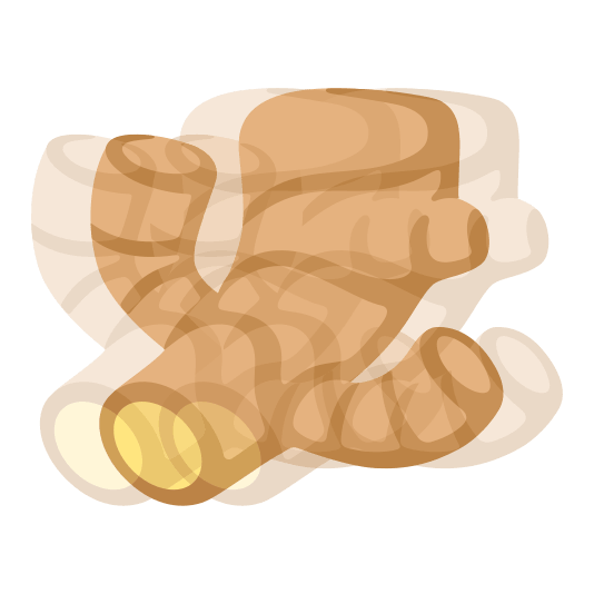 heartbeat ginger root