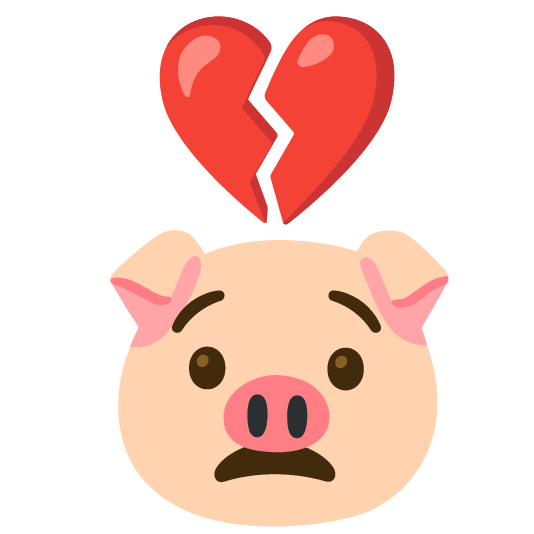 broken heart pig