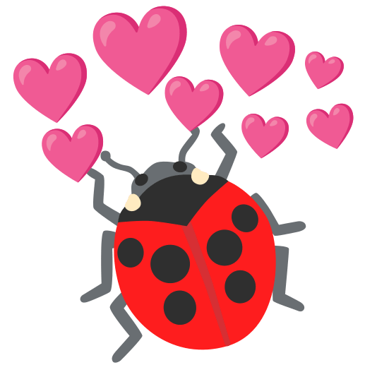 cupid ladybug