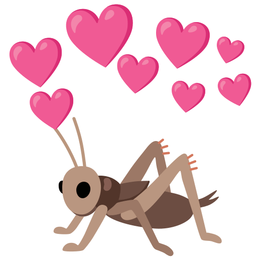 cupid cricket