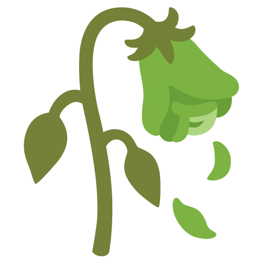 green heart wilted flower