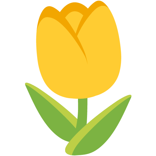 yellow heart tulip