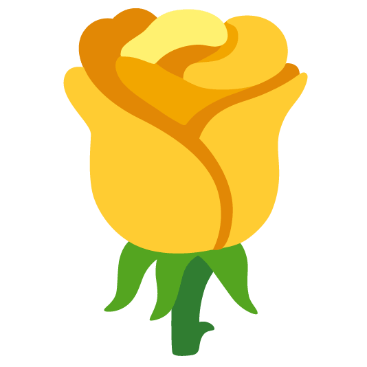 yellow heart rose