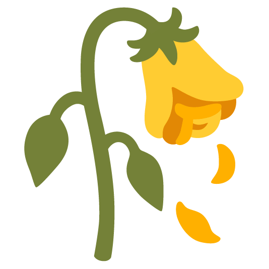 yellow heart wilted flower