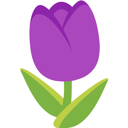 purple heart tulip