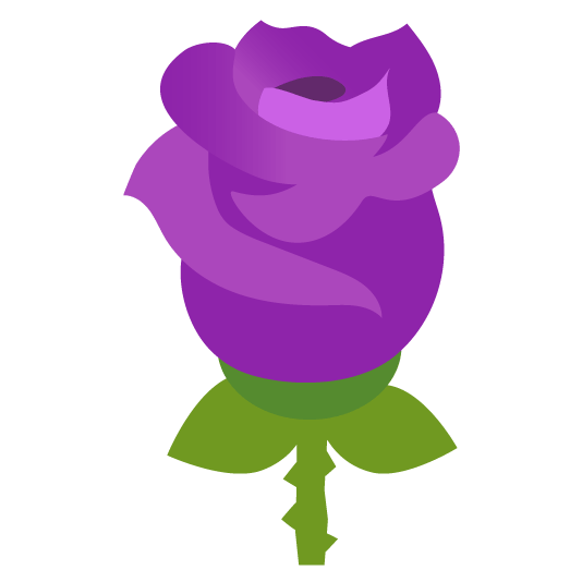 purple heart rose