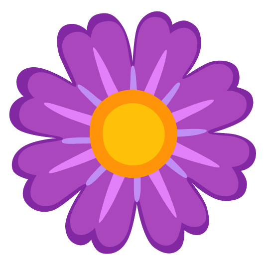 purple heart blossom