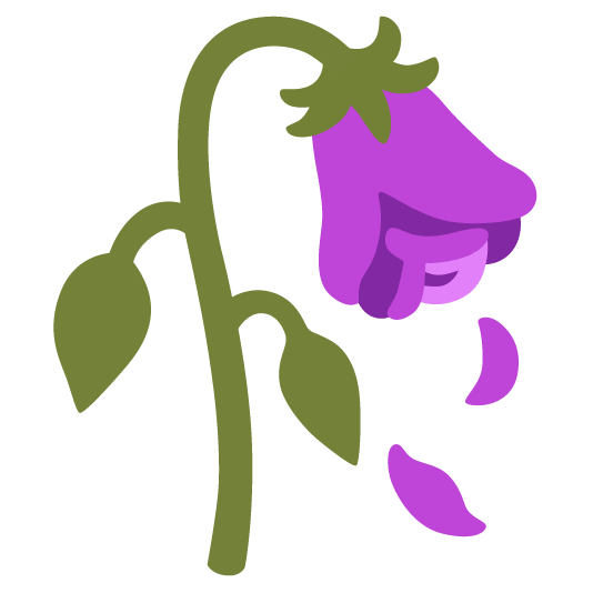 purple heart wilted flower