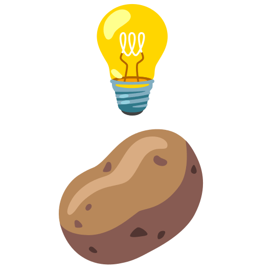 bulb potato
