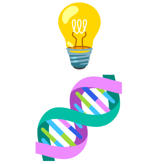 bulb dna