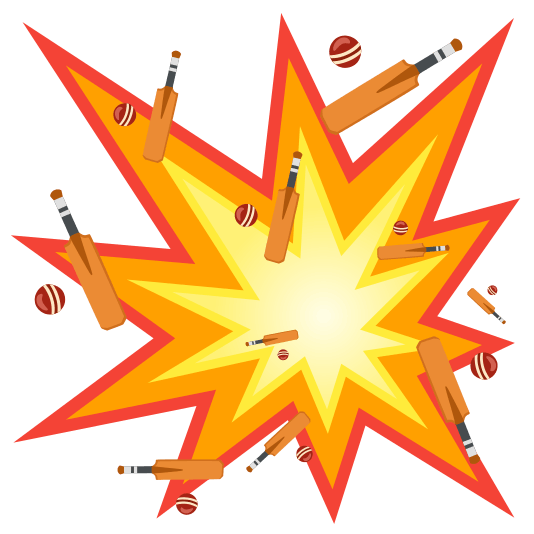 boom cricket bat and ball