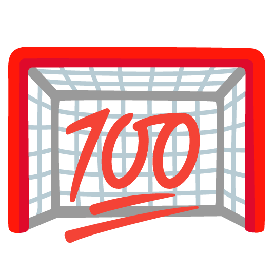100 goal net