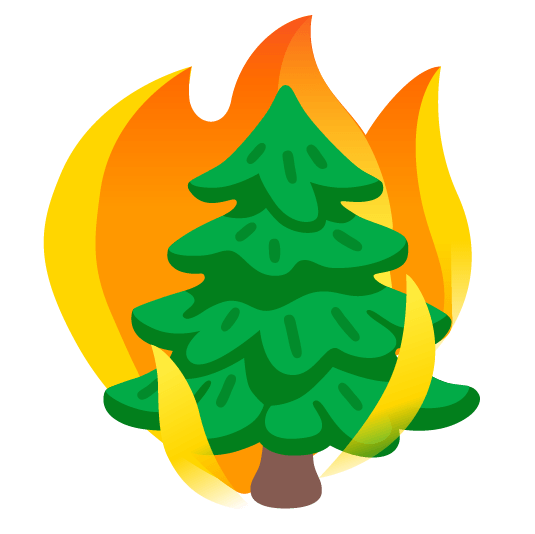 fire evergreen tree