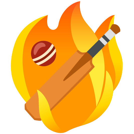 fire cricket bat and ball