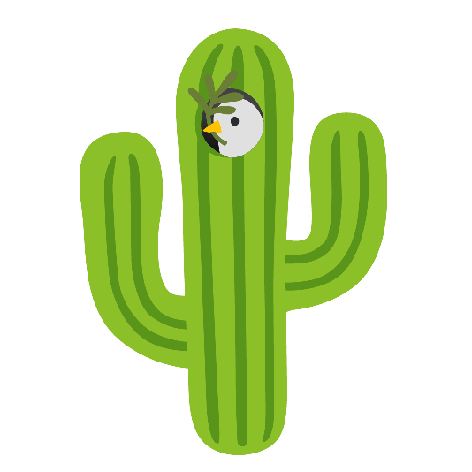 dove of peace cactus