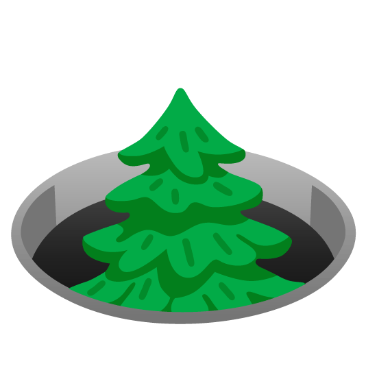 hole evergreen tree