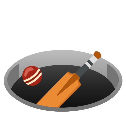 hole cricket bat and ball