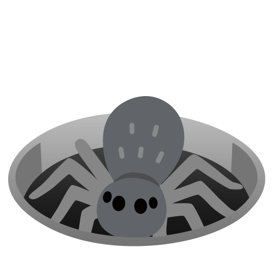 hole spider