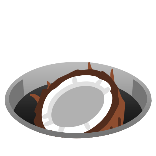 hole coconut