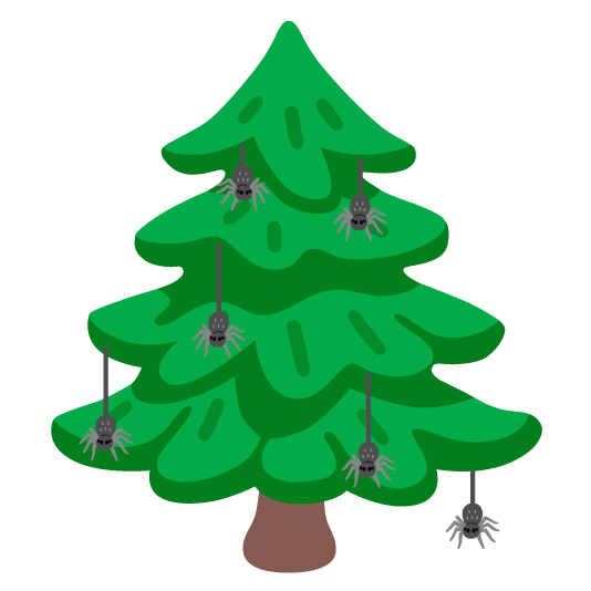 spider evergreen tree