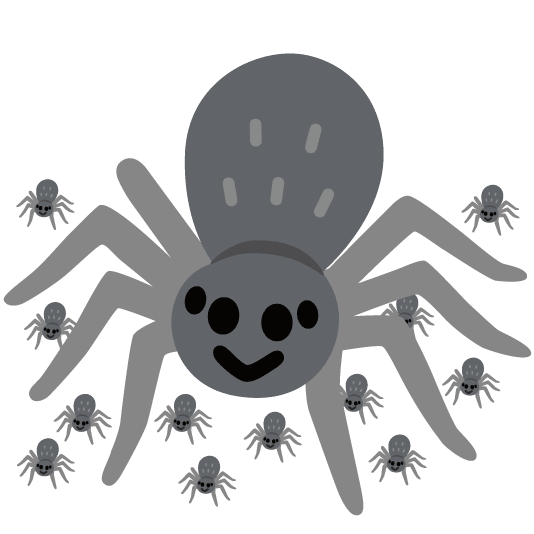 spider spider