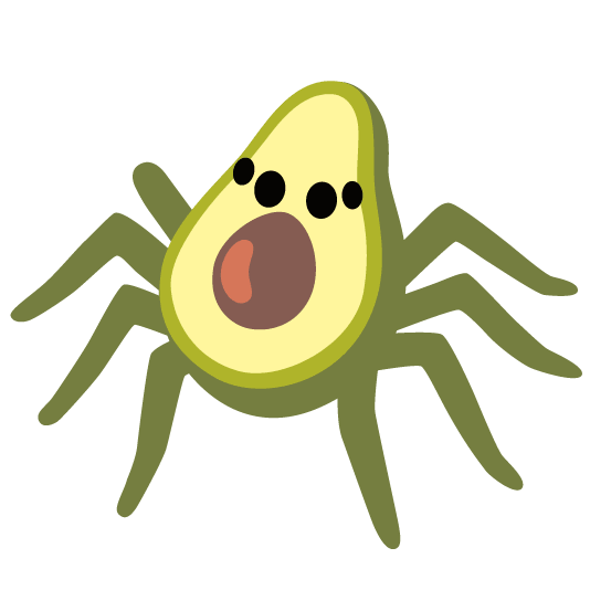 spider avocado