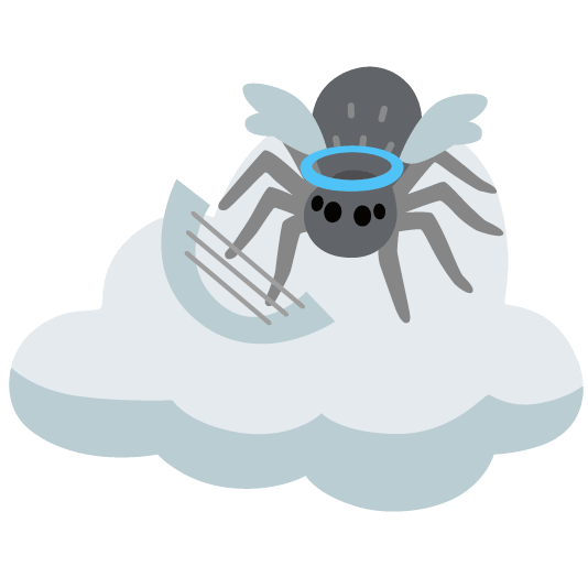 spider cloud