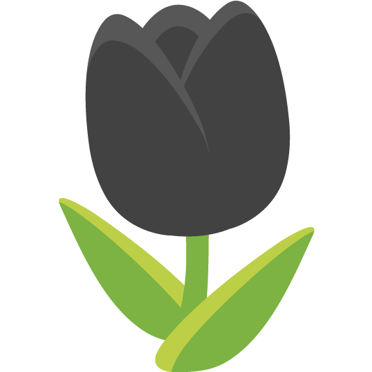 black heart tulip