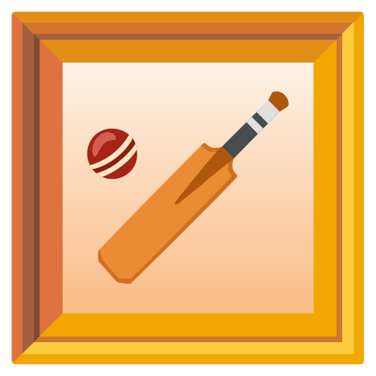 frame with picture cricket bat and ball