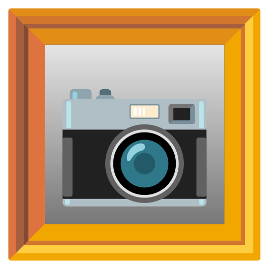 frame with picture camera
