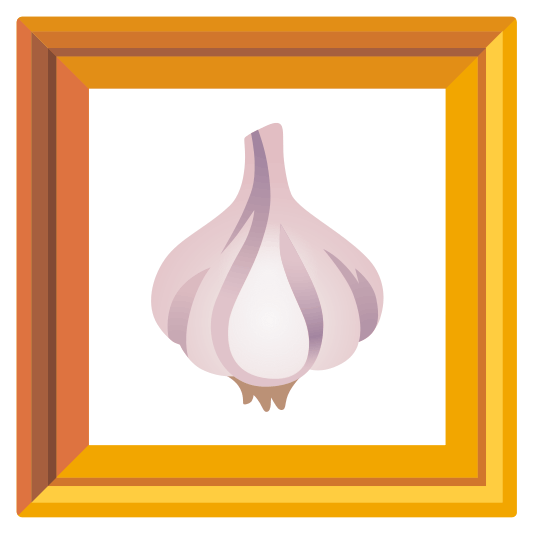 frame with picture garlic