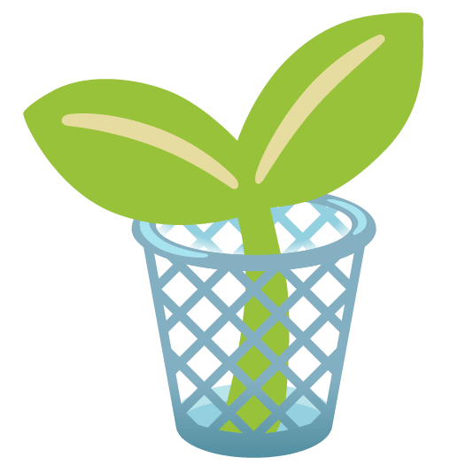 wastebasket seedling