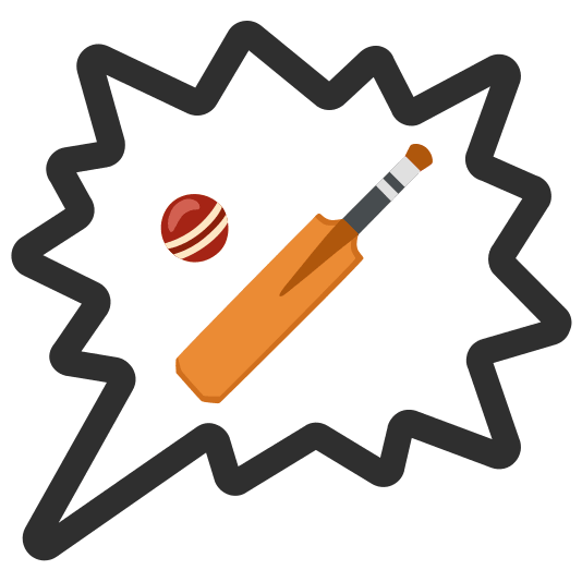 right anger bubble cricket bat and ball