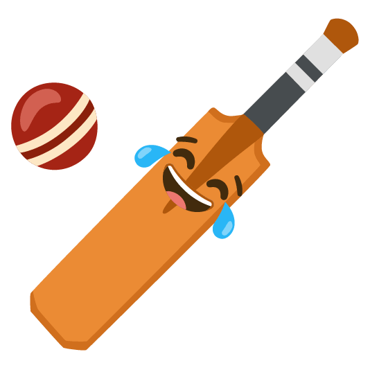 joy cricket bat and ball