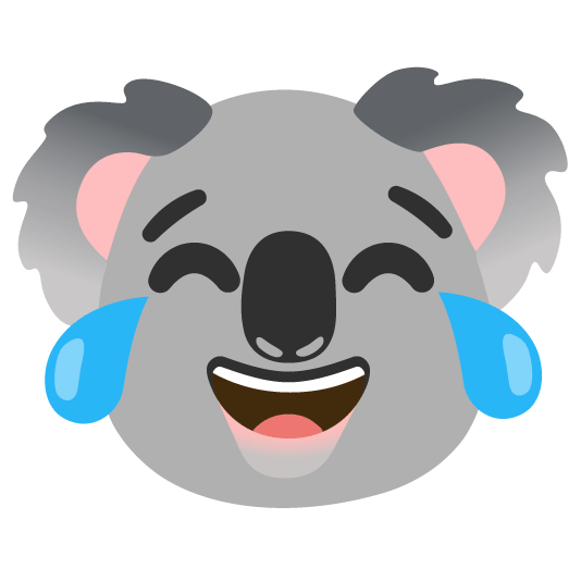 joy koala