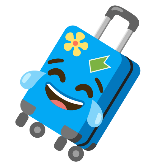 joy luggage