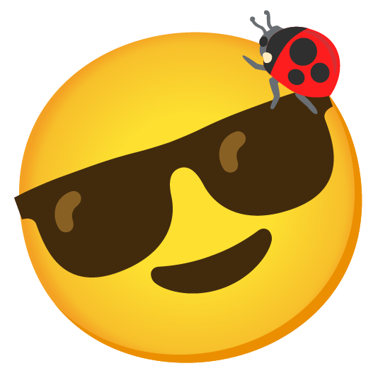 sunglasses ladybug