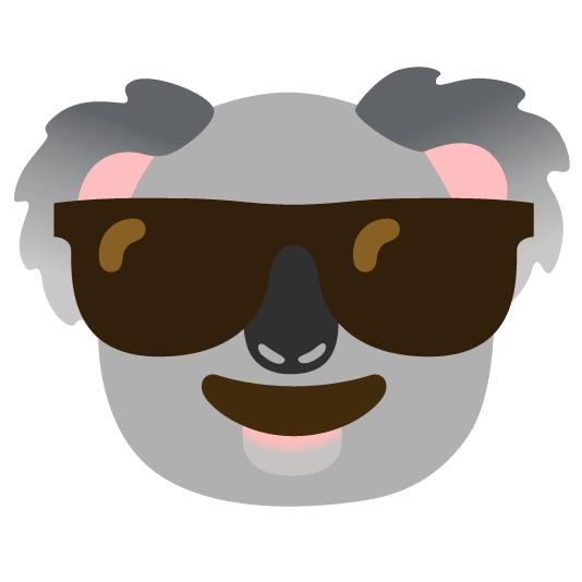 sunglasses koala