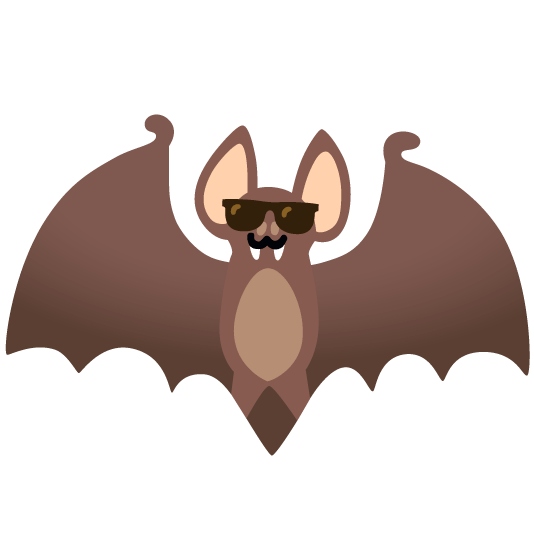sunglasses bat